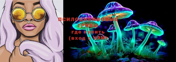 сатива Арсеньев