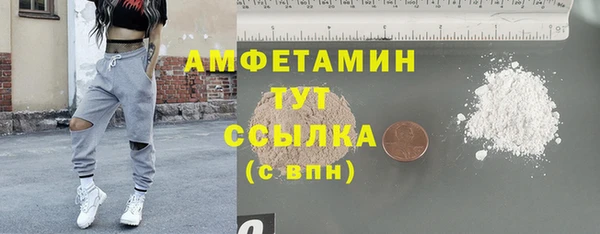 сатива Арсеньев