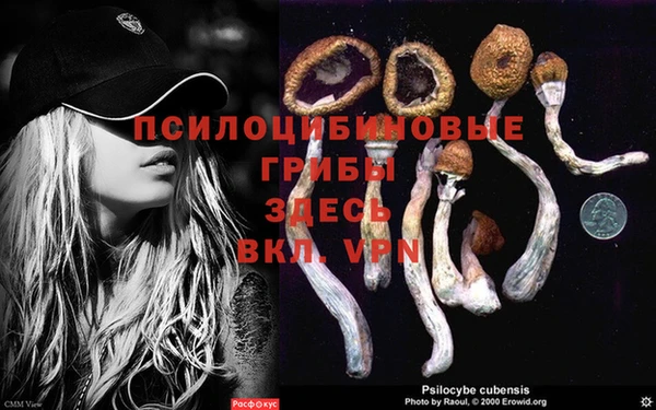 первитин Армянск