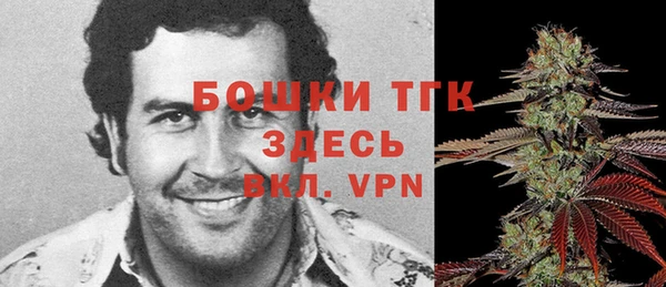 сатива Арсеньев