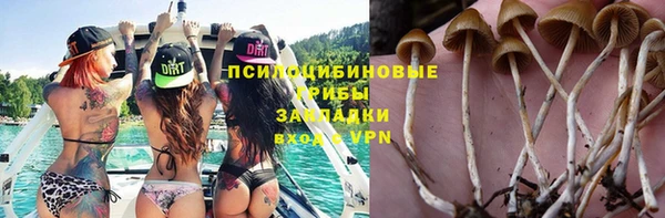 сатива Арсеньев