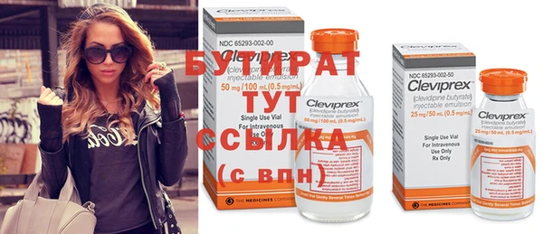 сатива Арсеньев
