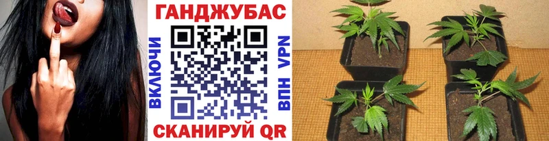 Бошки Шишки планчик  наркотики  Мирный 